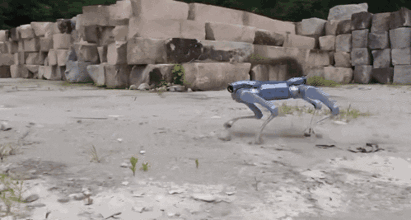 机器人“仿人”狂飙：技术必然，还是产业歧途？