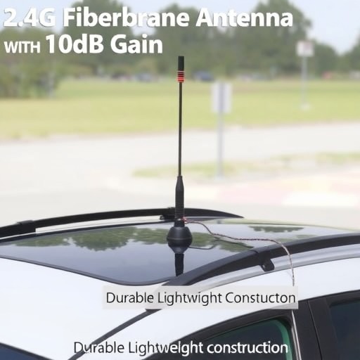厂家2.4G玻璃钢天线10DB