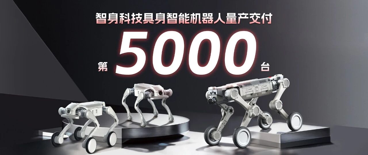 智穹界佑迈疾配网