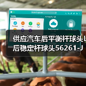 供应汽车后平衡杆球头L 后稳定杆球头56261-JN00A适用于天籁J2.0L