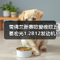 雪佛兰新赛欧爱唯欧五菱宏光1.2B12发动机总成 雪佛兰新赛欧爱唯欧五菱宏光1.2B12发动机总成