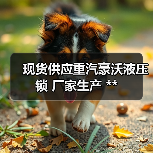 现货供应重汽豪沃液压锁 厂家生产 **