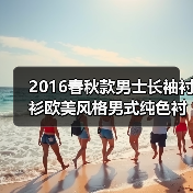 2016春秋款男士长袖衬衫欧美风格男式纯色衬衣外贸衬衫男