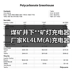 煤矿井下**矿灯充电器 厂家KL4LM(A)充电器欢迎选购 煤矿井下**矿灯充电器 厂家KL4LM(A)充电器欢迎选购