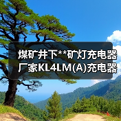 煤矿井下**矿灯充电器 厂家KL4LM(A)充电器欢迎选购 煤矿井下**矿灯充电器 厂家KL4LM(A)充电器欢迎选购