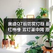 奥迪Q7前防雾灯框 前杠格栅 雾灯罩中网 原装进口奥迪专卖