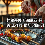 外贸开关 斯勘尼亚 开关 工作灯 顶灯 预热 开门 暖风开关