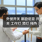 外贸开关 斯勘尼亚 开关 工作灯 顶灯 预热 开门 暖风开关