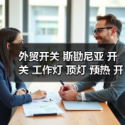 外贸开关 斯勘尼亚 开关 工作灯 顶灯 预热 开门 暖风开关