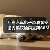 厂家汽车电子燃油泵安装支架双油泵支架60MM铝合金燃油泵卡箍 厂家汽车电子燃油泵安装支架双油泵支架60MM铝合金燃油泵卡箍