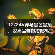 12/24V洋马黑色黑插厂家高品制做挖掘机工程改装车外置输油电子泵