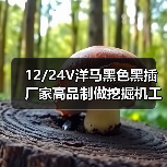 12/24V洋马黑色黑插厂家高品制做挖掘机工程改装车外置输油电子泵