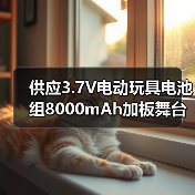 供应3.7V电动玩具电池组8000mAh加板舞台灯氙气灯LED灯具电动喷雾器 应急UPS电池定制
