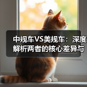 中规车VS美规车:深度解析两者的核心差异与实际影响 中规车VS美规车:深度解析两者的核心差异与实际影响