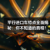 平行进口车特点全面揭秘：你不知道的真相！