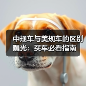 中规车与美规车的区别曝光：买车必看指南
