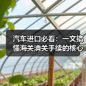 汽车进口必看:一文搞懂海关清关手续的核心秘密 汽车进口必看:一文搞懂海关清关手续的核心秘密