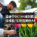 道康宁DC184灌封胶/硅橡胶/实验双组份AB胶/SYLGARD184