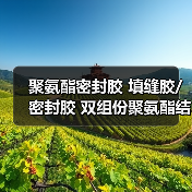 聚氨酯密封胶 填缝胶/密封胶 双组份聚氨酯结构胶