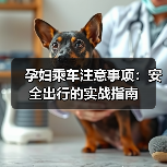 孕妇乘车注意事项：安全出行的实战指南