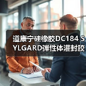 道康宁硅橡胶DC184 SYLGARD弹性体灌封胶/PDMS聚二甲基硅氧烷 道康宁硅橡胶DC184 SYLGARD弹性体灌封胶/PDMS聚二甲基硅氧烷