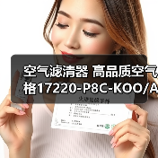 空气滤清器 高品质空气格17220-P8C-KOO/A00适用于本田系列汽车