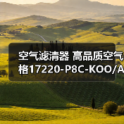 空气滤清器 高品质空气格17220-P8C-KOO/A00适用于本田系列汽车