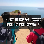 供应 东本RA6 汽车转向器 助力器助力泵 厂家一件起批