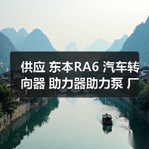 供应 东本RA6 汽车转向器 助力器助力泵 厂家一件起批
