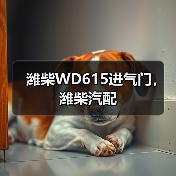 潍柴WD615进气门,潍柴汽配 潍柴WD615进气门,潍柴汽配