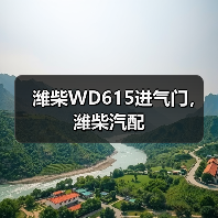 潍柴WD615进气门,潍柴汽配 潍柴WD615进气门,潍柴汽配