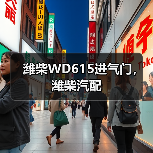 潍柴WD615进气门,潍柴汽配 潍柴WD615进气门,潍柴汽配