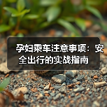 孕妇乘车注意事项：安全出行的实战指南