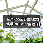 台湾KSS反穿式尼龙扎线带RRCV-**自锁式扎带**条凯士士扎带