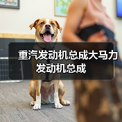 重汽发动机总成大马力发动机总成 重汽发动机总成大马力发动机总成