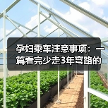 孕妇乘车注意事项：一篇看完少走3年弯路的实用指南