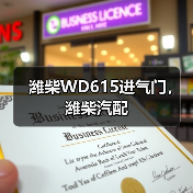 潍柴WD615进气门，潍柴汽配