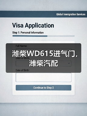 潍柴WD615进气门，潍柴汽配