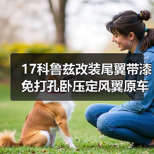17科鲁兹改装尾翼带漆免打孔卧压定风翼原车款 汽车尾翼改装
