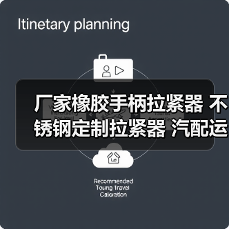 厂家橡胶手柄拉紧器 不锈钢定制拉紧器 汽配运输拉紧器