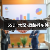 6SD1太泵-原装拆车件