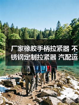 厂家橡胶手柄拉紧器 不锈钢定制拉紧器 汽配运输拉紧器