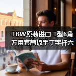 TBW原装进口 T型6角万用套筒扳手丁字杆六角扳手终生保用