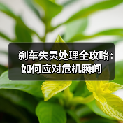 刹车失灵处理全攻略：如何应对危机瞬间