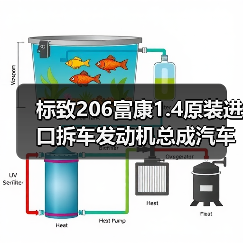 标致206富康1.4原装进口拆车发动机总成汽车配件