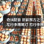 奇瑞配套 新款东方之子左行李箱尾灯 右行李箱尾灯总成