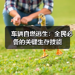 车辆自燃逃生：全民必备的关键生存技能