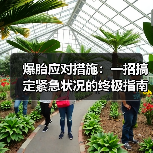 爆胎应对措施:一招搞定紧急状况的终极指南 爆胎应对措施:一招搞定紧急状况的终极指南
