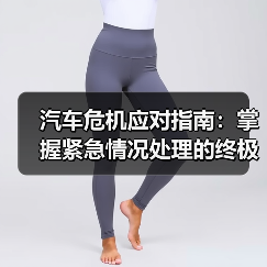 汽车危机应对指南：掌握紧急情况处理的终极技巧