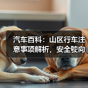 汽车百科:山区行车注意事项解析,安全驶向每一段山川 汽车百科:山区行车注意事项解析,安全驶向每一段山川